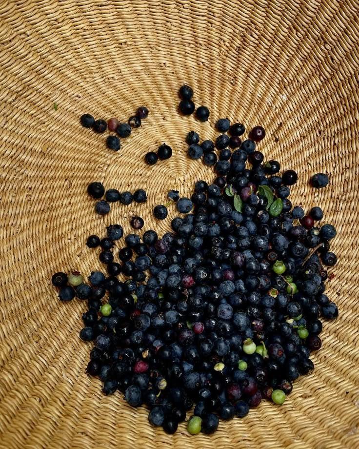 Rustic Berry Patchwork: Nature's Sweetness
